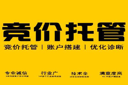 网络推广与竞价广告：双管齐下的策略案例